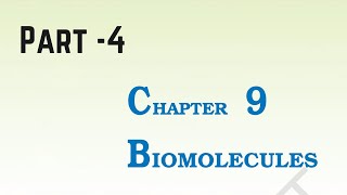 Ch  09 Biomolecules Reading  4 [upl. by Lleret]