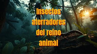 Insectos aterradores del reino animal 🐜 🐛🐝🪲🕷 [upl. by Benton]