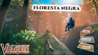 Valheim Floresta Negra  Guia de Sobrevivência  Solo PT BR [upl. by Meilen296]