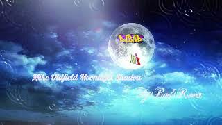 Mike Oldfield Moonlight Shadow Dj Bad ReMiX 2024 [upl. by Bremser]