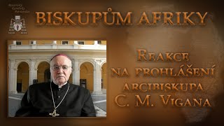 Biskupům Afriky Reakce na prohlášení arcibiskupa C M Vigana [upl. by Hedberg]