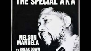 THE SPECIAL AKA  NELSON MANDELA THE MIX VERSION [upl. by Canter]