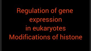 regulation of gene expression in eukaryotes [upl. by Lyrac626]