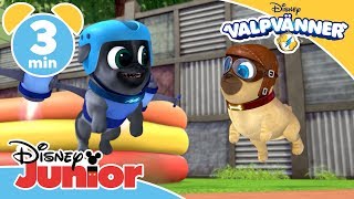 Valpvänner  Ge mig tass 🐾 Disney Junior Sverige [upl. by Eynttirb]