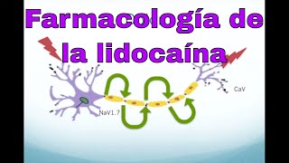 Farmacología de la lidocaína y otros anestésicos locales [upl. by Daveda]