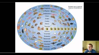 Hierarchical Taxonomy [upl. by Halsted]