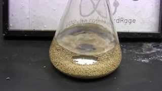 Drying Alcohol Using Magnesium and Molecular Sieves [upl. by Opaline]