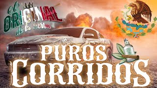 PUROS CORRIDOS NORTEÑOS VIEJITOS MEXICANOS MIX PARA PISTEAR [upl. by Enalda579]