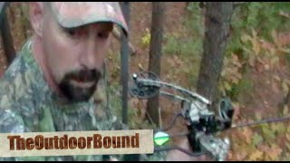 BOWHUNTING Whitetail Deer Meets The Wishbown by Chirico Archery [upl. by Ronda]