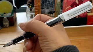 First ✨ TWSBI eco Fountain Pen 🖋 Extra Fine nib  Newbie 🤪  ink setup  Walnut ink [upl. by Ahsekad]