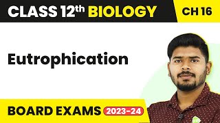 Eutrophication  Environmental Issues  Class 12 Biology 202223 [upl. by Nagaek]