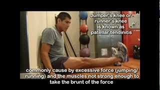 Knee Pain Exercises 7  Jumpers Knee Exercises for Knee Pain [upl. by Nohj]