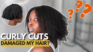 Are my ENDS healthy after getting curly cuts for 4 years [upl. by Mellen]