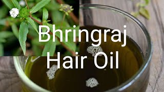 Bhringraj Hair Oil கரிசலாங்கண்ணி எண்ணெய்Karisalankanni Hair Oil For Hair Growth in Tamil [upl. by Francois518]