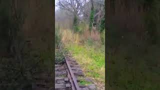 Abandoned Norfolk Southern Spur Track [upl. by Brownson]