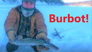 Alaskan Ice Fishing Set lines for burbot [upl. by Eilram876]