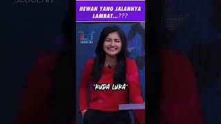 Cak lontong jngn di lawan standupcomedy lucu caklontongterbaru lawak bedu ngakak [upl. by Bevin351]