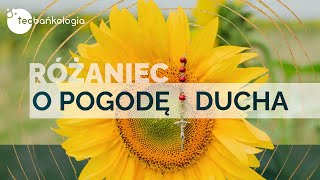 Różaniec Teobańkologia o pogodę ducha 2901 Niedziela [upl. by Leelaj66]