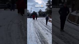 Mcleodganj in 2 months travel himachalpradesh mcleodganj triundtrek dharamshala road snowfall [upl. by Moazami]