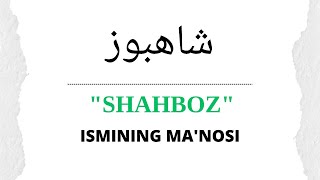 SHAHBOZ ISMINING MANOSI  SHAHBOZ ISMI QANDAY MANOGA EGA [upl. by Felic646]