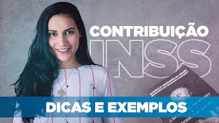 CONTRIBUIÇÃO DO SEGURADO FACULTATIVO  Dicas e Exemplos Práticos [upl. by Honora921]