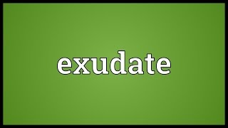 Exudate Meaning [upl. by Siver]