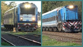 Estación Brandsen pasadas de trenes a Mar del Plata y Chascomús [upl. by Halima]