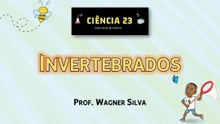 Aula Animais invertebrados  3º ANO  Ensino fundamental [upl. by Dylana]