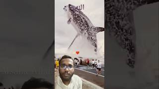 Biggest fish🐠🐋🐟 in the world shorts youtubeshorts fish greenscreen [upl. by Nyladnek112]