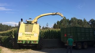 Silagem de Milho Póvoa de Varzim 2014 Corn Silage [upl. by Notyalc]