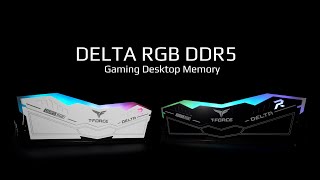 DELTA RGB DDR5 Desktop Memory  TEAMGROUP [upl. by Connie183]