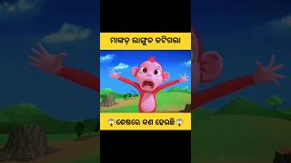 ମାଙ୍କଡ଼ ଲାଙ୍ଗୁଡ କଟିଗଲା😭storystoriesgapaodiagapakahanifactsmonkeycartoonnatiacomedyshorts [upl. by Eelyahs]