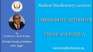 Said Oraby  Uronic acid Pathway [upl. by Ike]