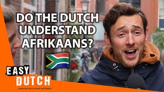 Do the Dutch Understand Afrikaans  Easy Dutch 62 [upl. by Thetisa12]