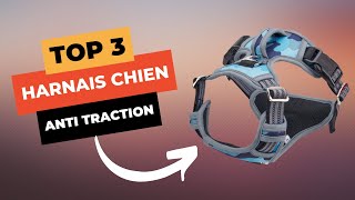 🔥 TOP 3  Meilleur Harnais Chien Anti Traction 2023 [upl. by Peper]