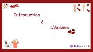 Érythropoïèse Et Anémie Introduction Hématologie [upl. by Lac]