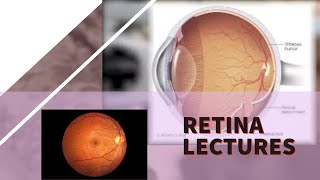 RETINA lecture 18 RETINOPATHY OF PREMATURITY pathogenesis zones of retina in detail [upl. by Warenne]