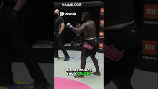 Gilanis Precision Kicks A Kickboxing Showdown trending mma ufc trending boxing [upl. by Tolland]