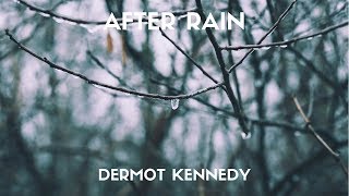 Dermot kennedy  After Rain Lyrics [upl. by Nnaitsirhc]