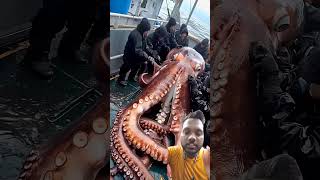 Chinese log ka khana Giant Sea Monsters Caught by FishermenGiantSeaCreatures Fishing fishtales [upl. by Atinad]