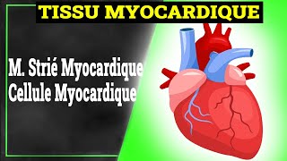 Tissu Myocardique  Histologie [upl. by Nnylirej334]