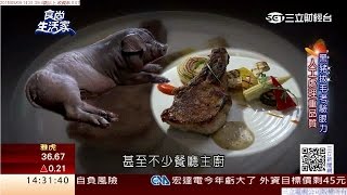 食尚生活家：黑豬喝啤酒長大 油花豐富肉多汁  食尚生活家  三立財經台CH88 [upl. by Allsopp]