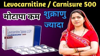 levocarnitine tablets ip carnisure 500 carnisure 500 uses in hindi  carnisure 500 [upl. by Emmit]