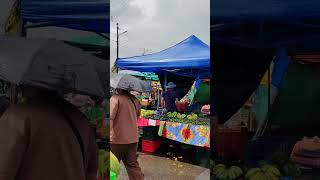 Feria del agricultor costarricense [upl. by Ydahs]