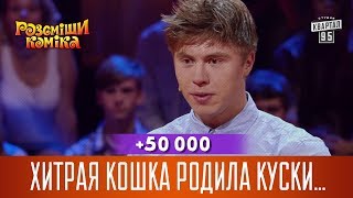 50 000  Хитрая кошка родила куски пенопласта [upl. by Gibeon]