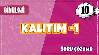 10 Sınıf Biyoloji  Kalıtım  1 Soru Çözümleri  2022 [upl. by Willem]