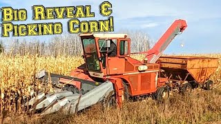 New Equipment RevealPicking Corn with New Idea Uni System [upl. by Akinom]