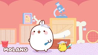 Los Arqueólogos 🦴 Molang  Bebes Llorones y sus amigos  Videos para niños y Caricaturas [upl. by Ibur]