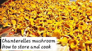 Chanterelle recipes and good ways to store your mushrooms mushrooms คนไทยในต่างแดนchanterelles [upl. by Elleinnod]