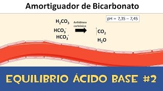 2 Sistemas amortiguadores del organismo Bioquímica [upl. by Slaby583]